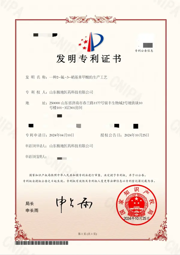 Patent
