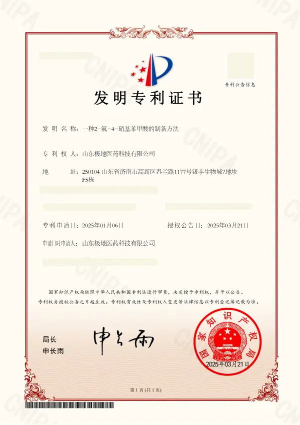 Patent