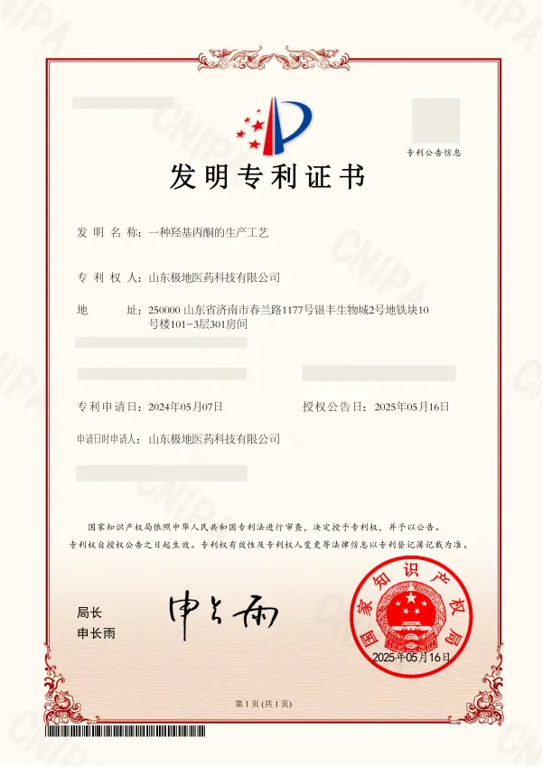 Patent