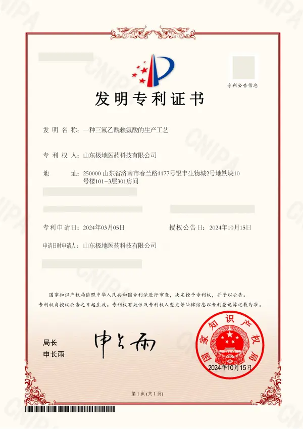 Patent