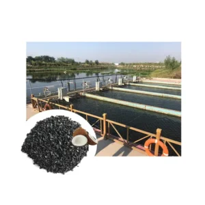 Big Granules Cationic Polyacrylamide PAM for Sewage Treatment 99% Purity