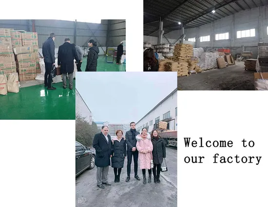 Polyacrylamide PAM Flocculant for Sewage Treatment High Purity 99% Granulars - 5