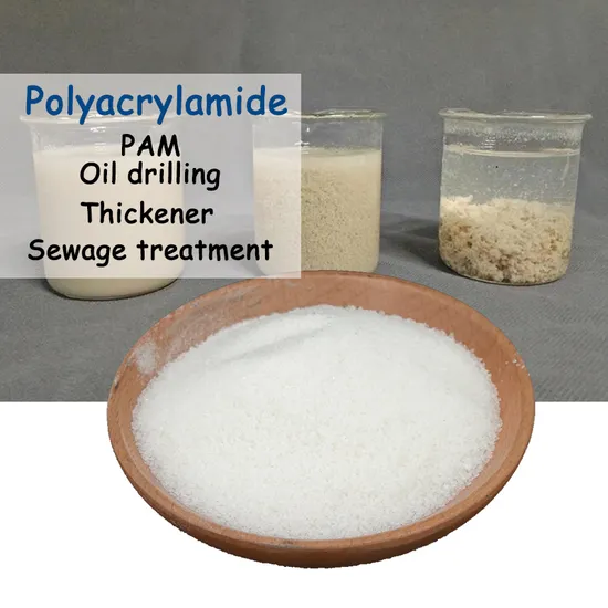 Polyacrylamide PAM for Oil Drilling - ISO9001 Certified White Powder Flocculant