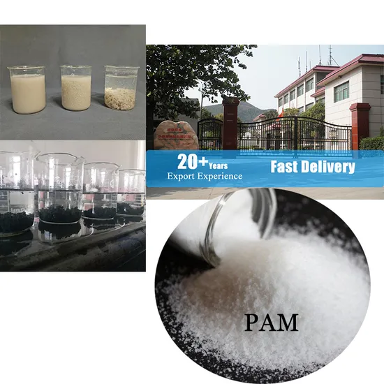 Water Treatment Flocculant Anionic Polyacrylamide PAM ISO9001 Certified White Granulars