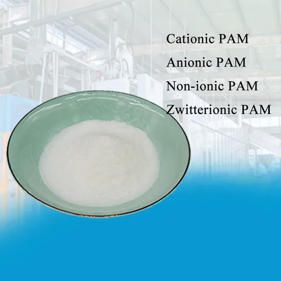 Polyacrylamide Powder for Water Treatment & Oil Production - White Granular Sewage Chemicals
