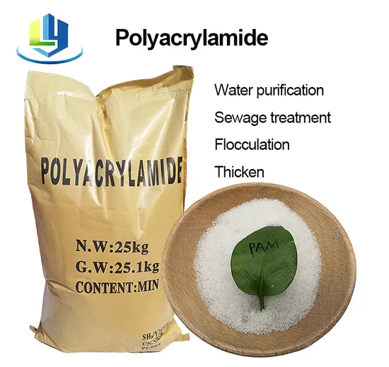 Anionic Polyacrylamide Flocculant Agent - ISO9001 Certified White Powder for Water Treatment