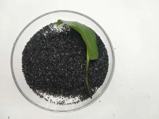 Norit Coconut Shell Activated Carbon Powder for Gas Adsorption High-Carbon Content