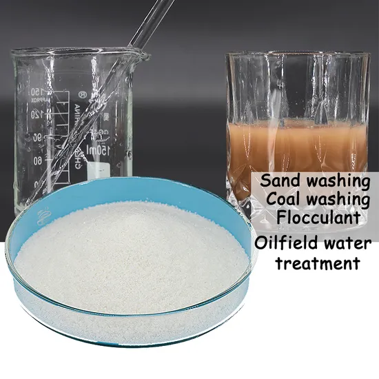 Anionic Polyacrylamide PAM Powder for Sewage Treatment 99% Purity Granulars 25kg Bag