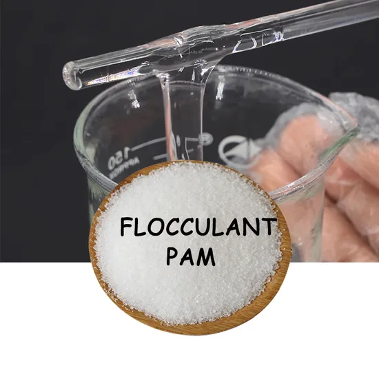 Cationic Anionic Polyacrylamide (Apam PAM) Powder ISO9001 Flocculant for Water Treatment